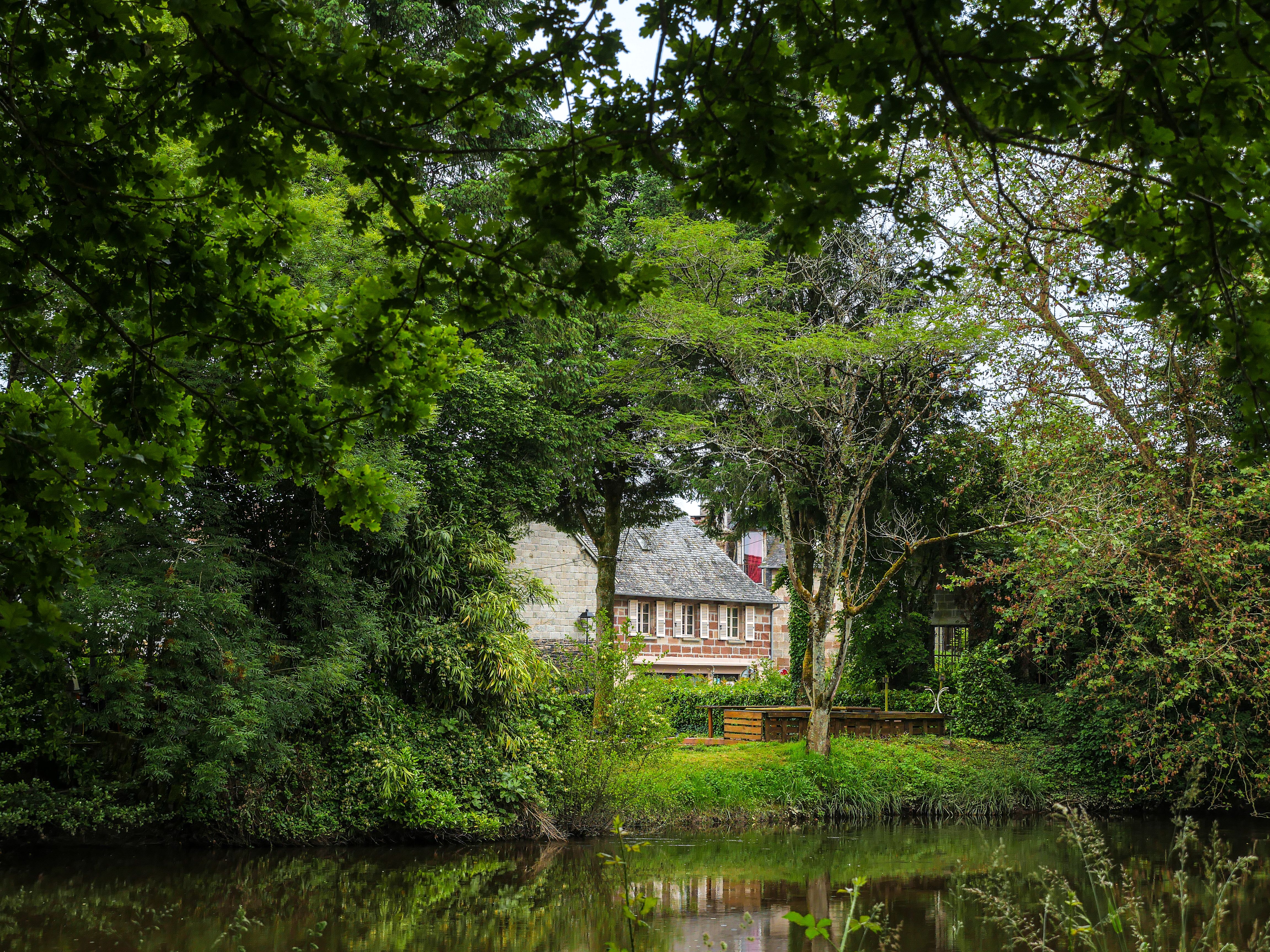 GR®46 - Etape 7 : d'Estivaux à Saint-Viance, Estivaux - photo 13