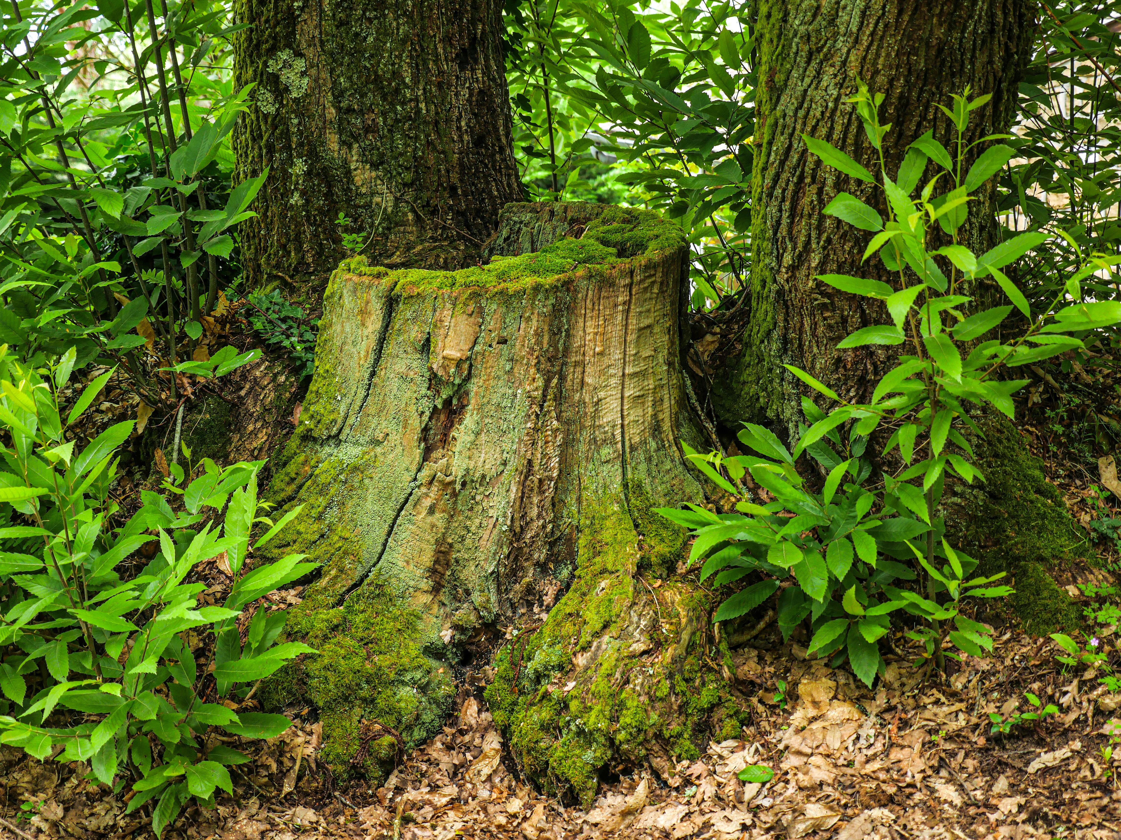 GR®46 - Etape 3 : de Beaumont à Chamboulive, Beaumont