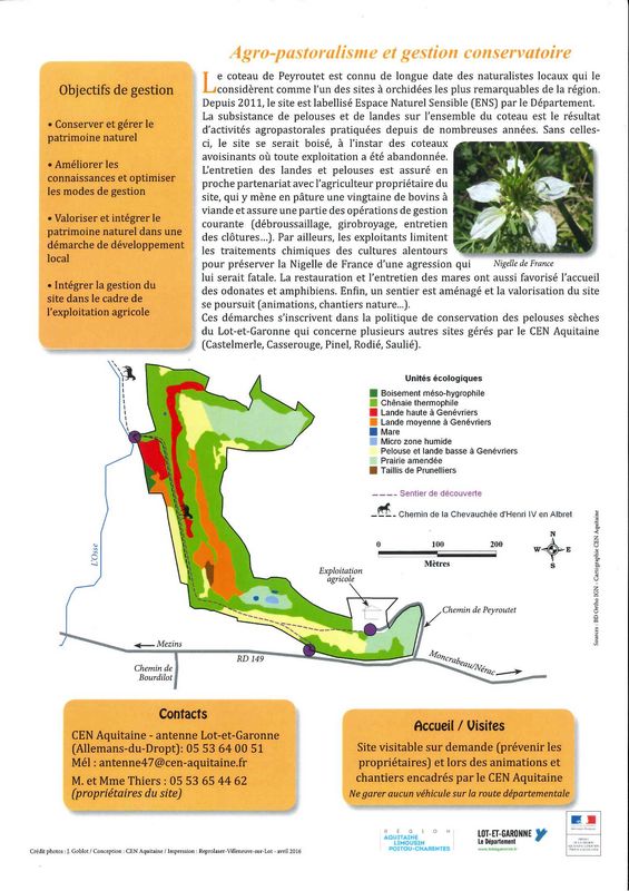 Orchidées des coteaux de l'Albret