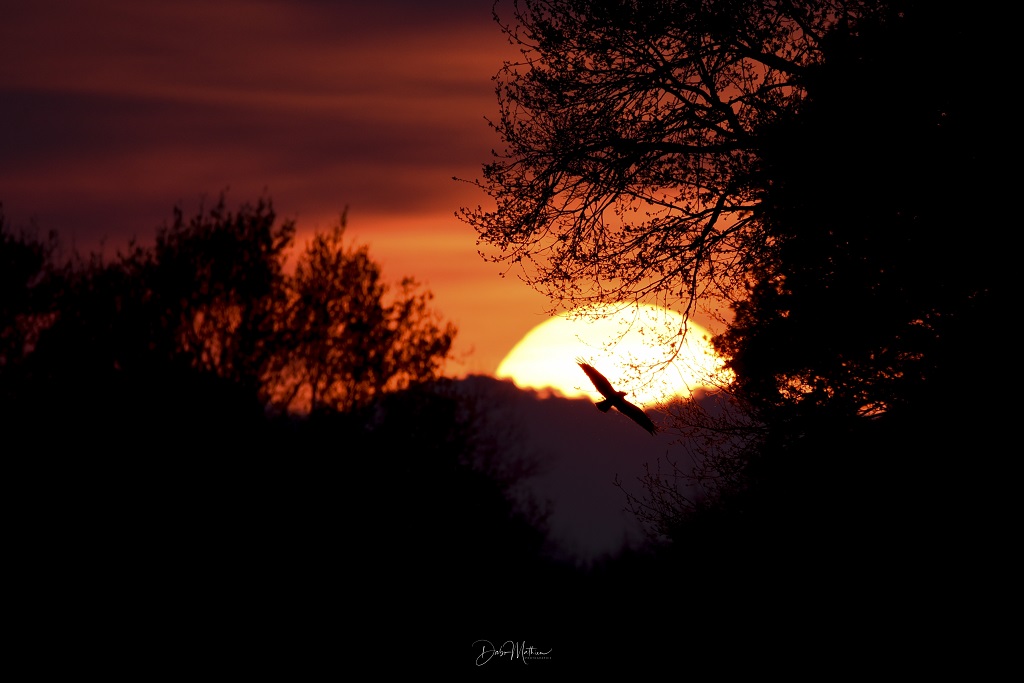 Parcours carpe de nuit de l'Adour à Laurède, Laurède - photo 3