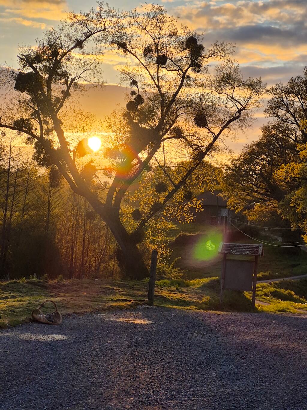 Domaine de la Tardoire - L'écolodge