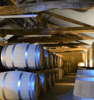 Château Coucy
