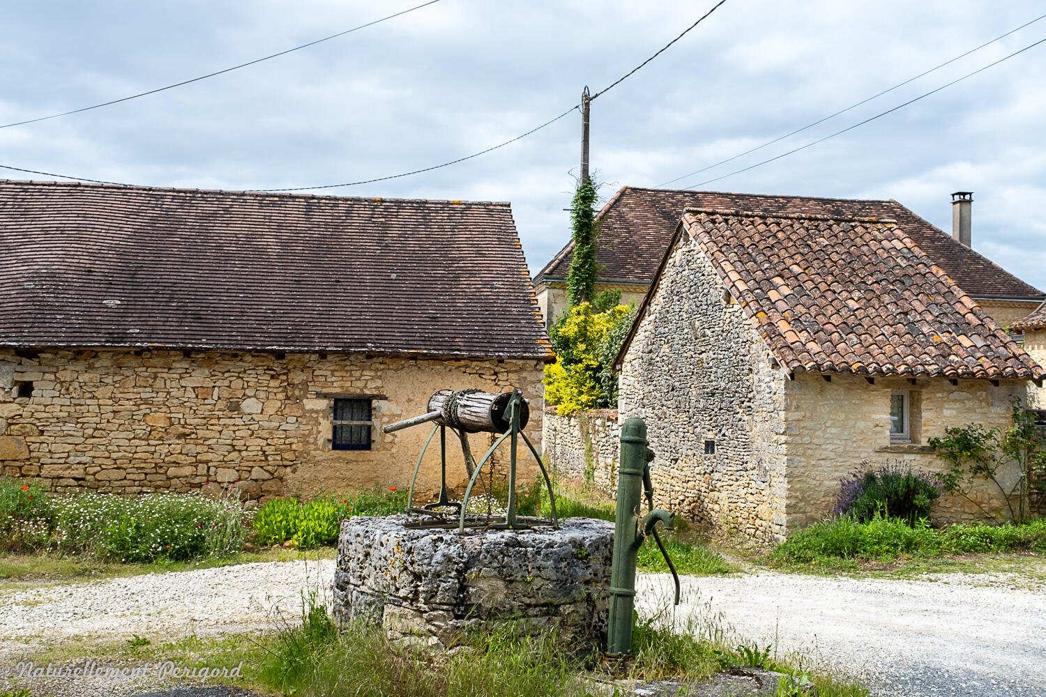 Terra Aventura : Coiffé au « pot au lait » !