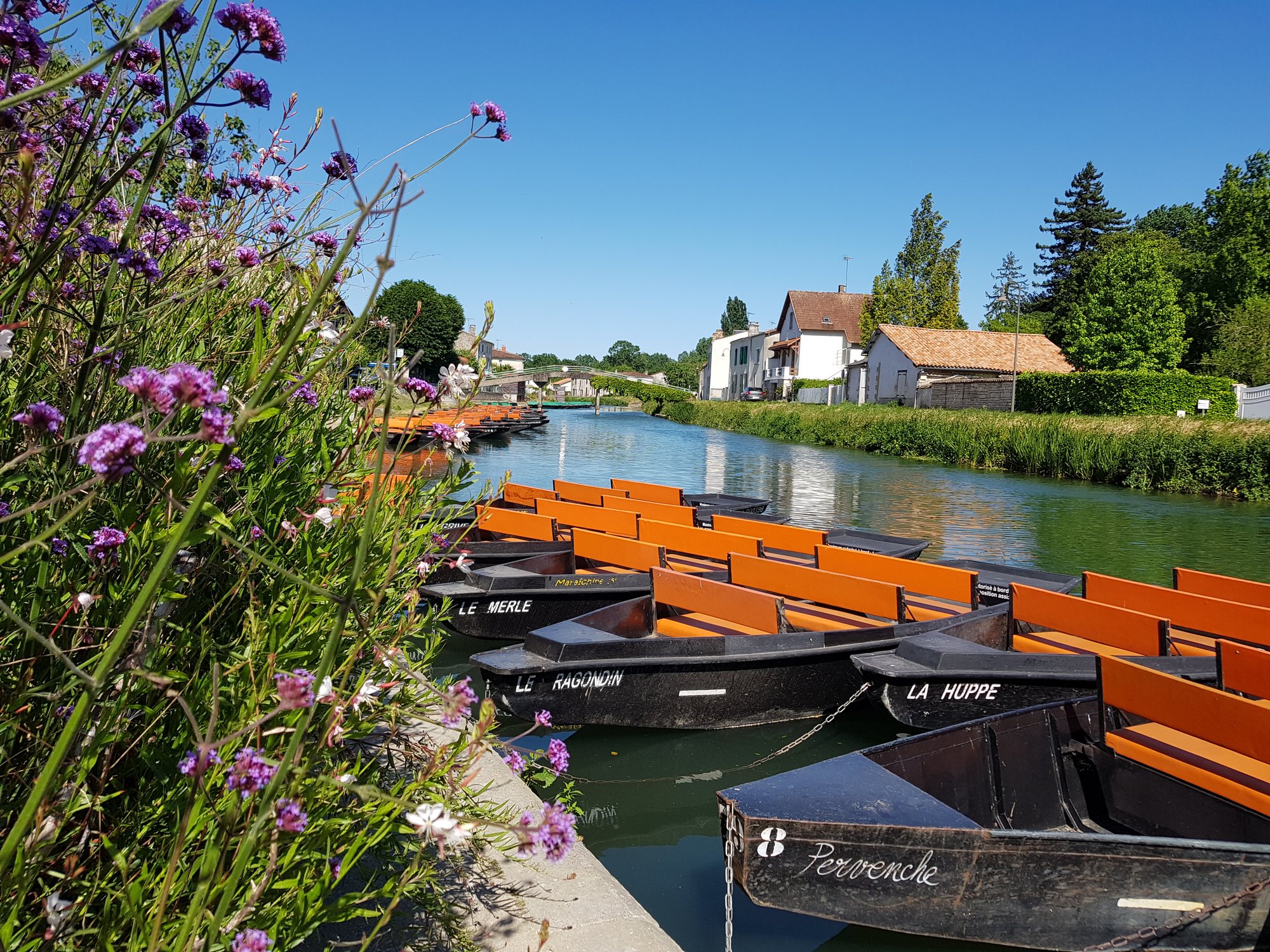 Magné - Coulon - La Sotterie en canoë
