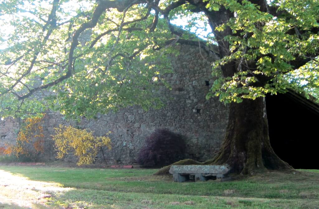 Le Logis des Tilleuls, Saint-Mathieu - photo 5