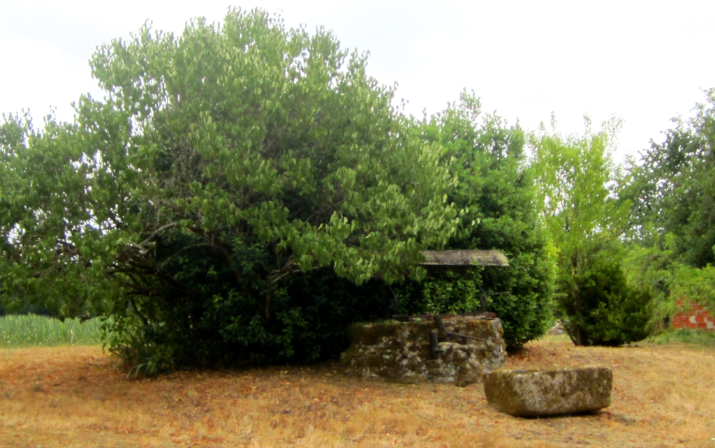 Le Logis des Tilleuls, Saint-Mathieu - photo 8