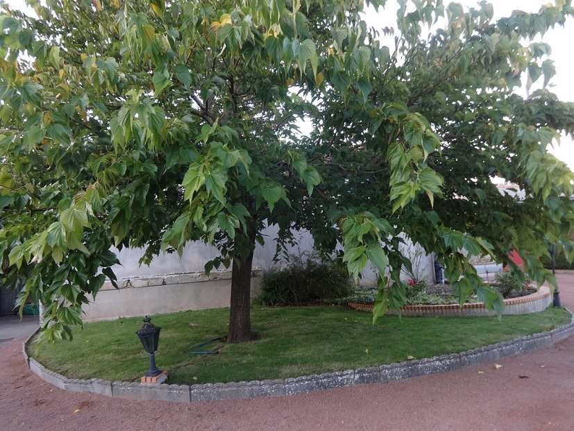 Chez Véro - 4 personnnes (1 chambres) - photo 3