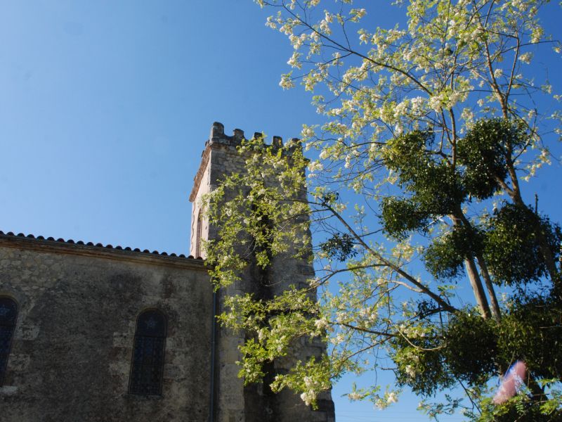 Eglise Notre-Dame de Cours-les-Bains, Cours-les-Bains