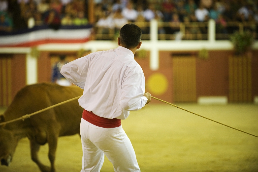 Les arènes de Gamarde les Bains avec Jean-Pierre, Gamarde-les-Bains - photo 3