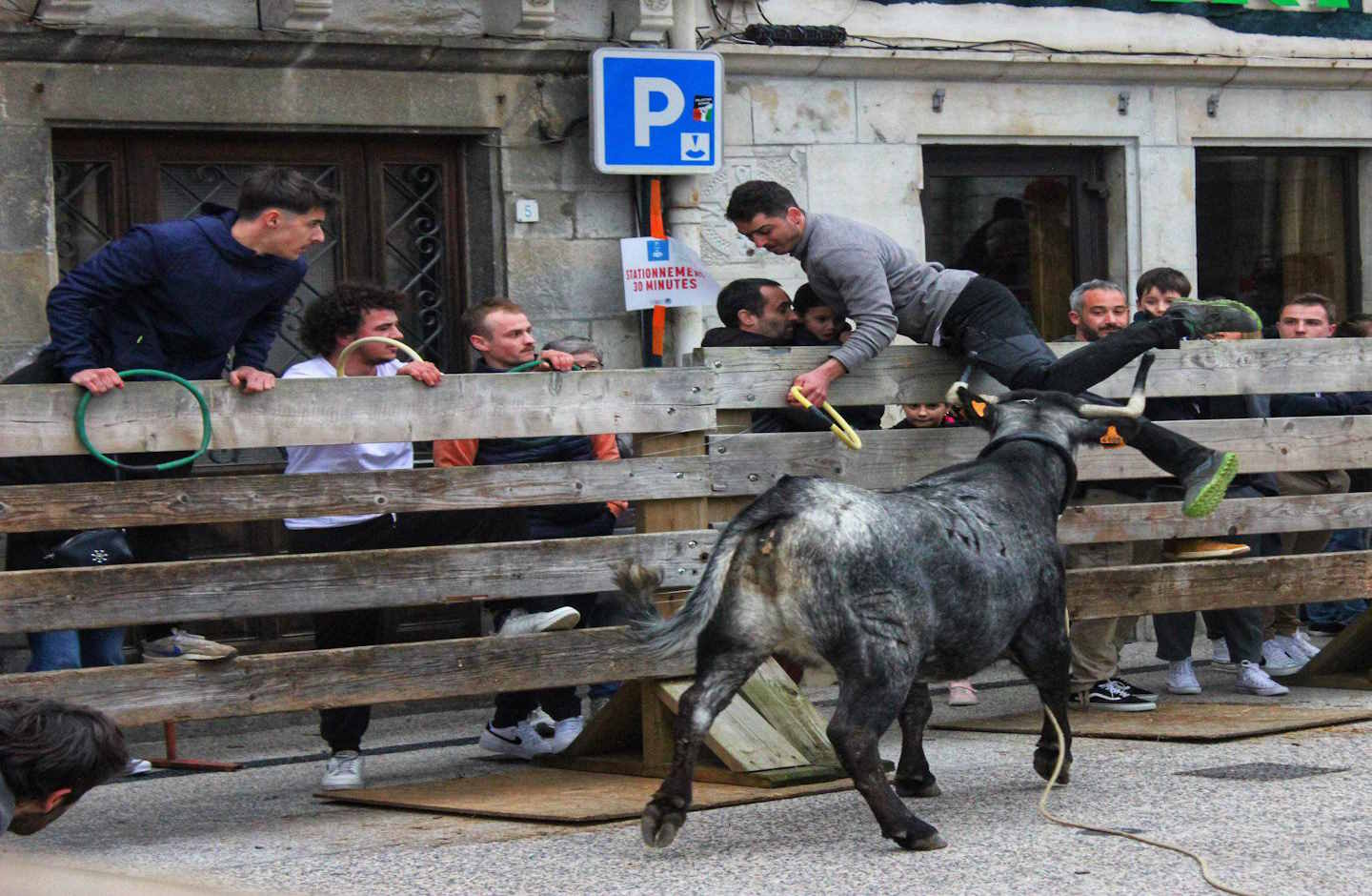 Encierro ttiki et course de vaches dans les rues. à HASPARREN (64) |  Animations