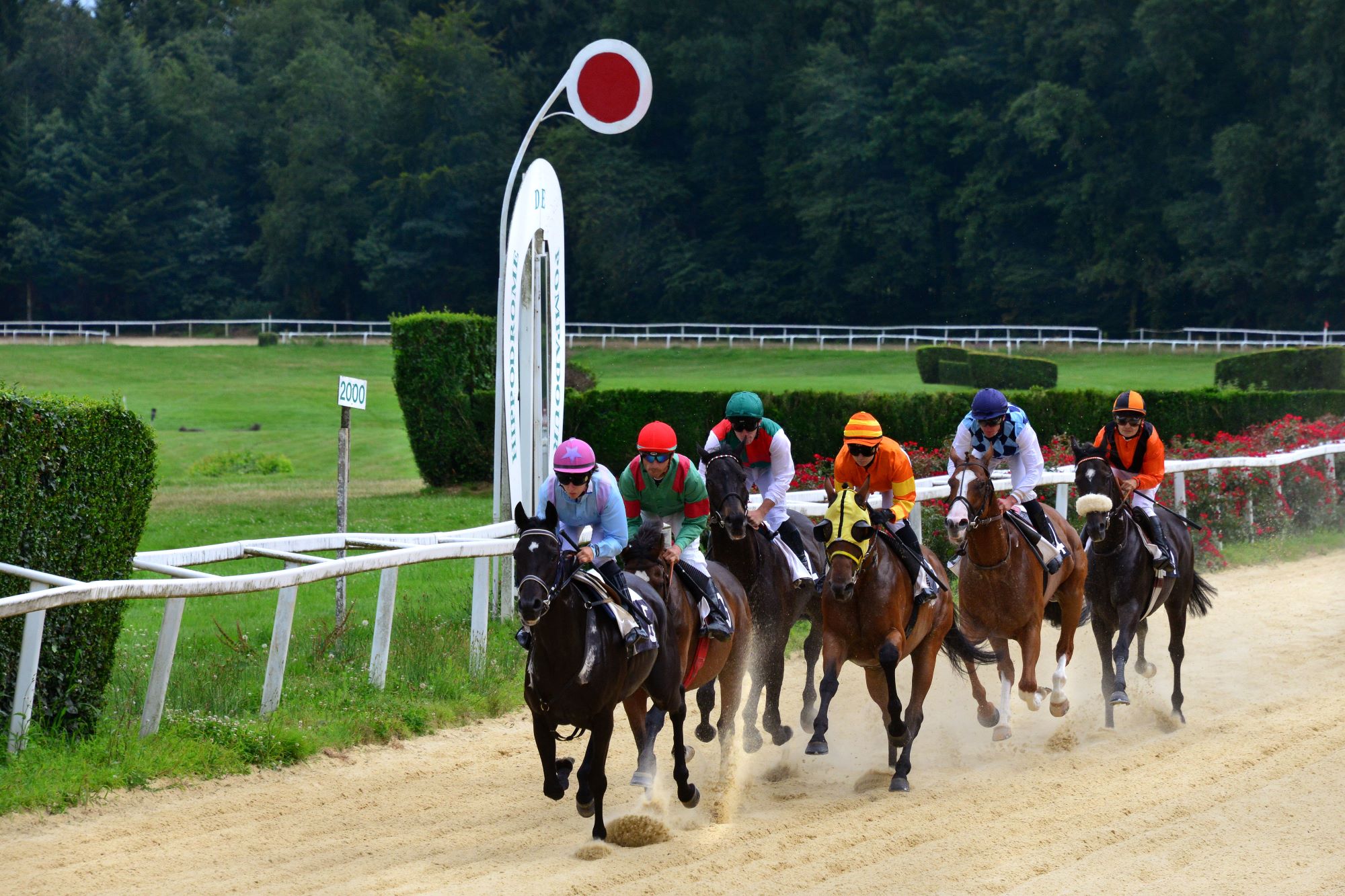 Courses hippiques : tous en blanc - photo 4