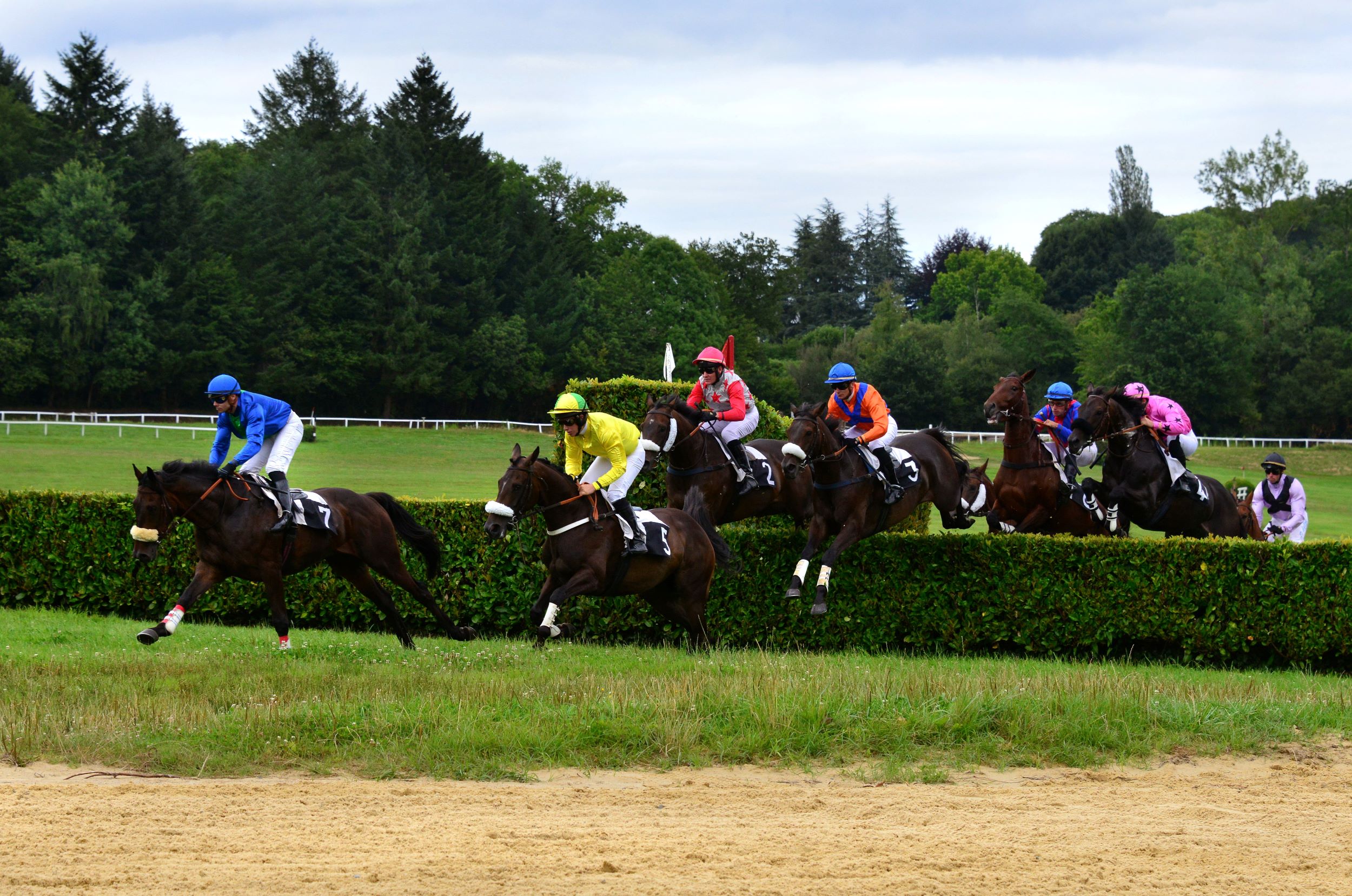 Courses hippiques - Hippodrome en fête - photo 4