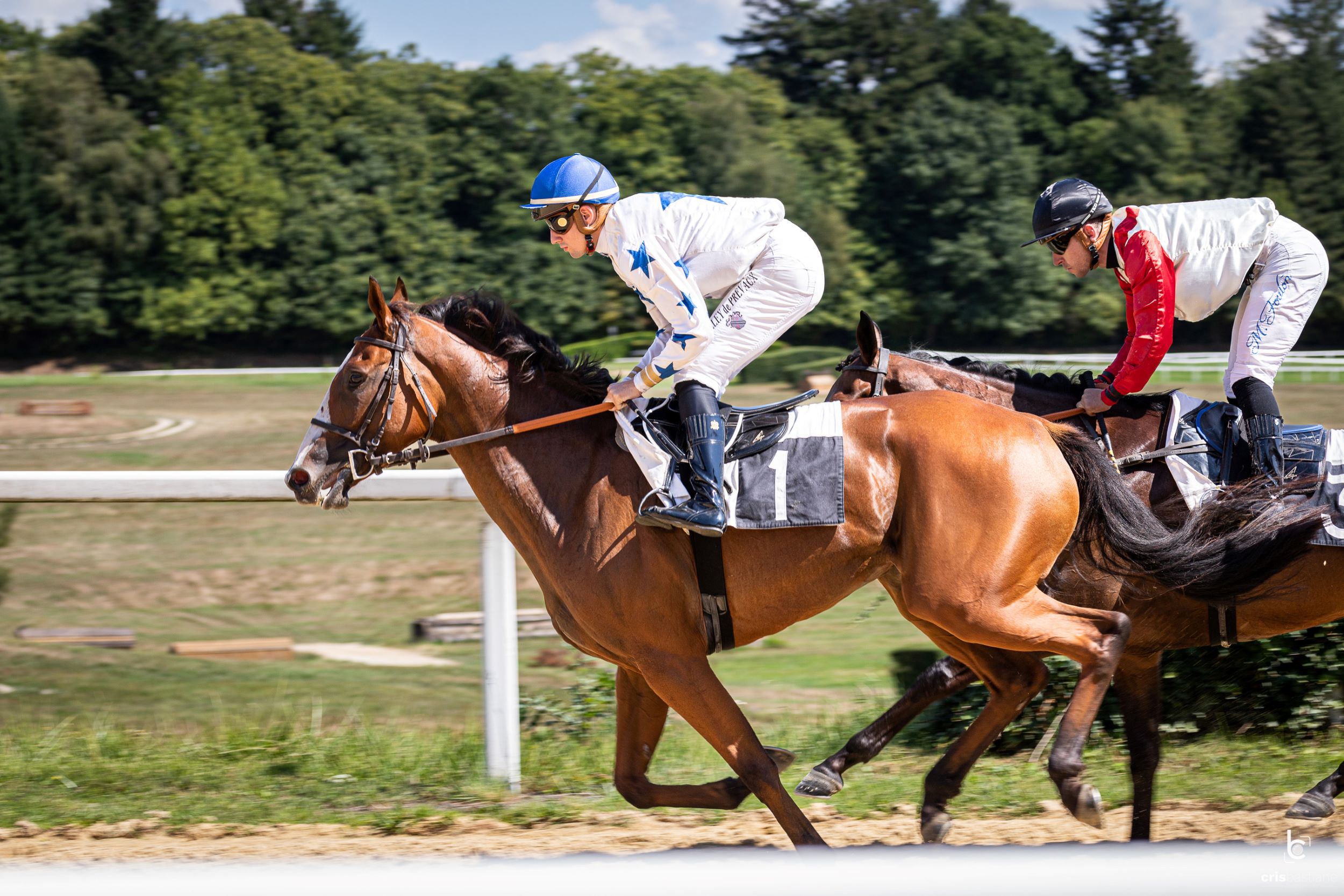 Courses hippiques : Hippodrome en fête - photo 4