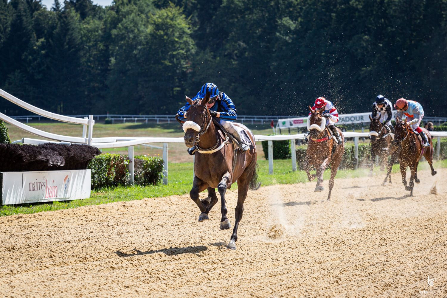 Courses hippiques : journée Race and Care - photo 4