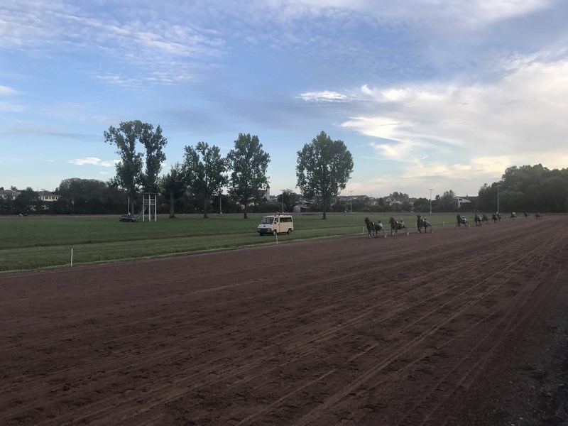Courses hippiques en nocturne - Villeréal, Villeréal - photo 7