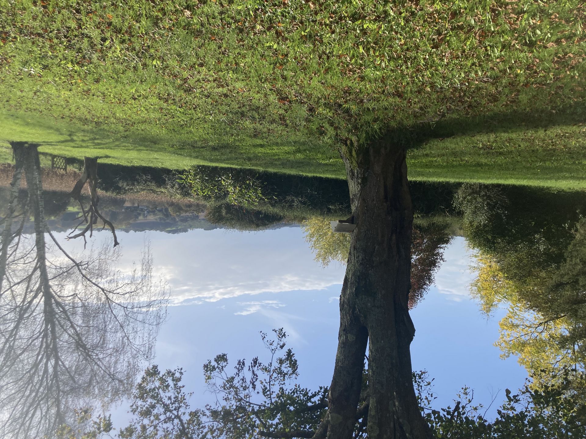 Madame Albertine COURTIADE, Laà-Mondrans - photo 8