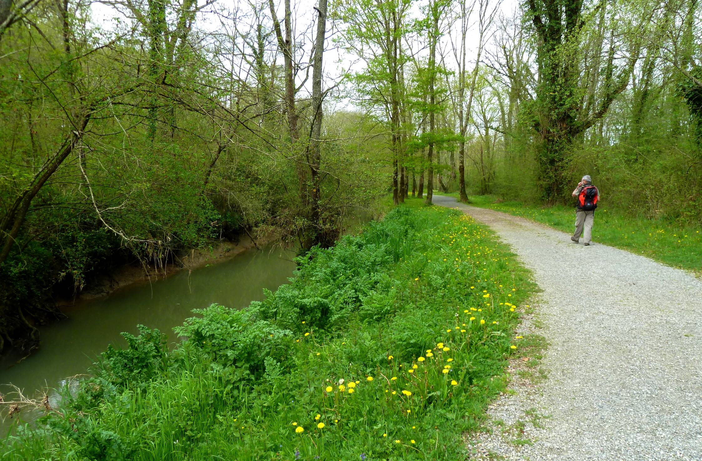 Balade à Roulettes n°29 : Les Barthes de l'Ardanavy à Urcuit