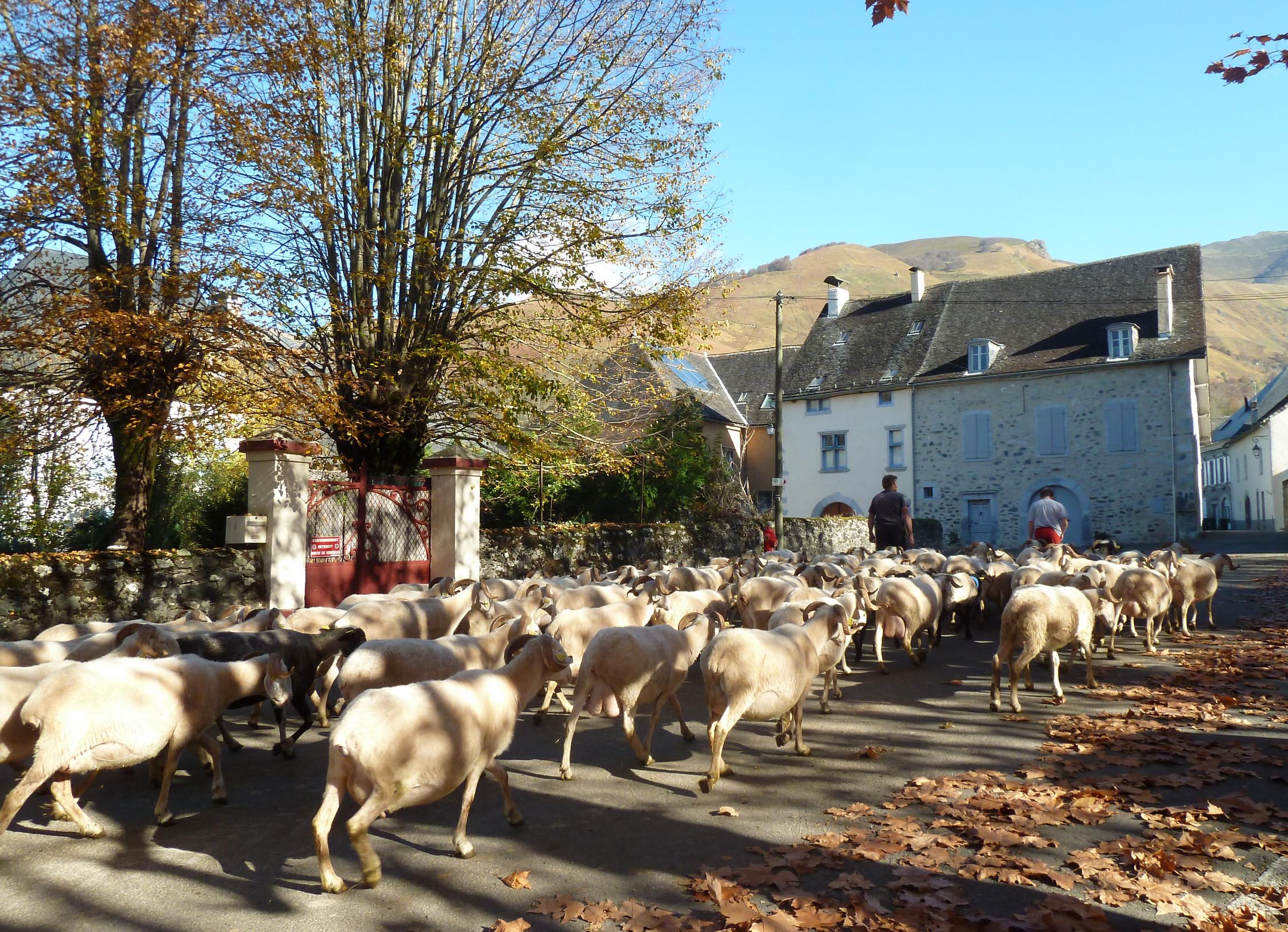 Balade à Roulettes n°47 : Au village d'Accous — Randonnées pédestres à Pyrénées-Atlantiques