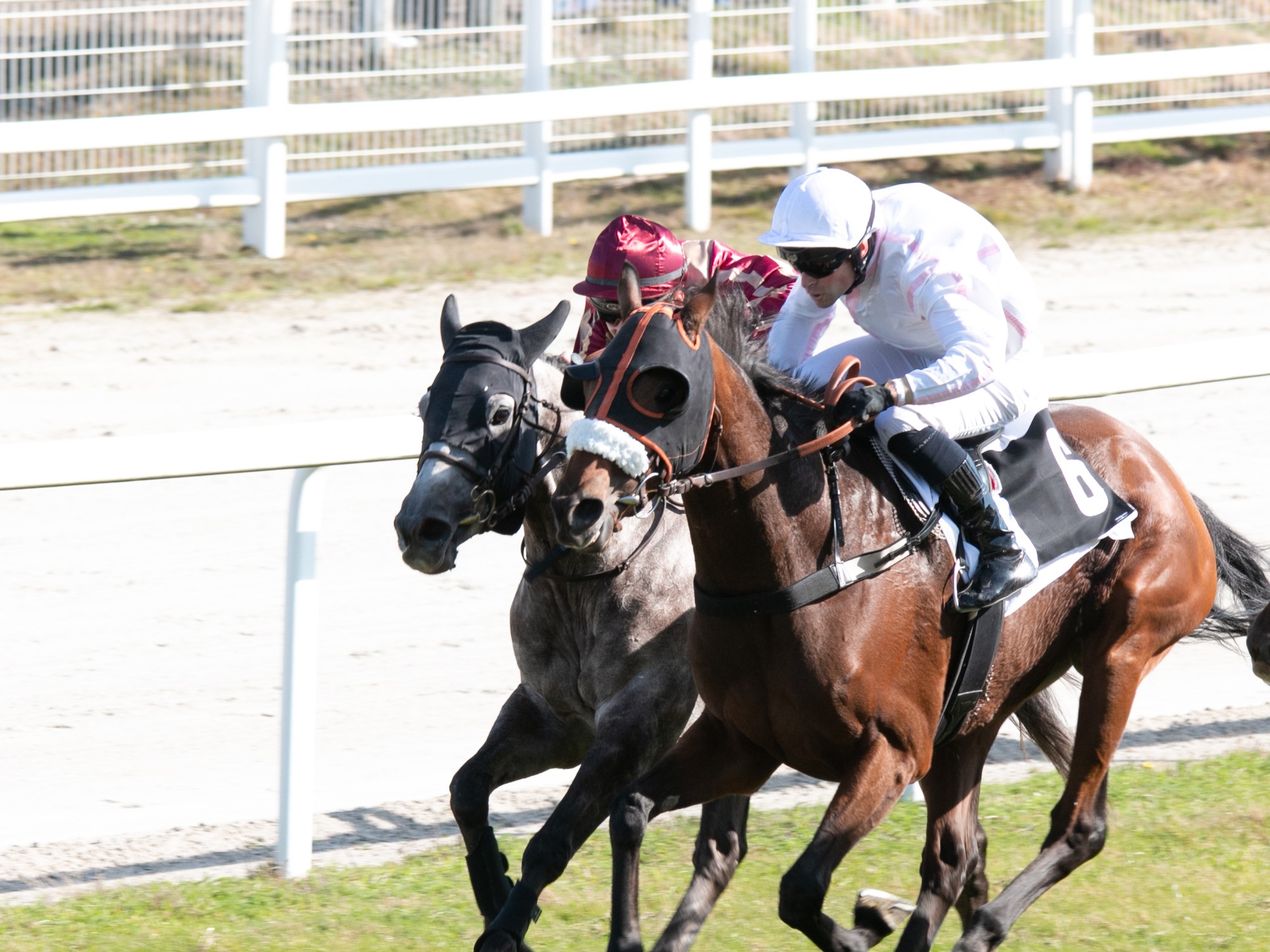 Hippodrome de Texonnieras, Couzeix