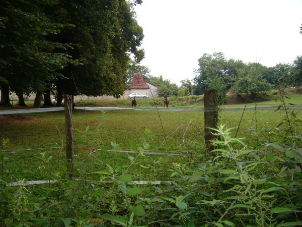 Boucle du CRAPA, Trélissac - photo 3