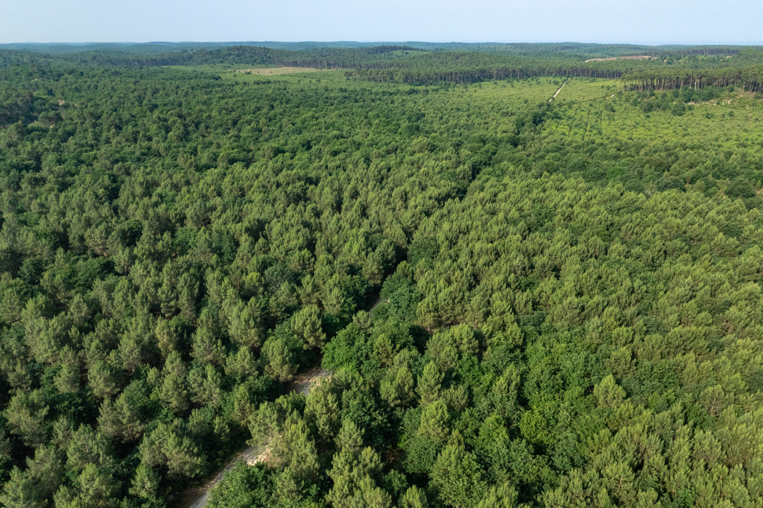 Boucle vélo-train entre Bordeaux, Médoc et Bassin d’Arcachon, Sainte-Hélène - photo 5
