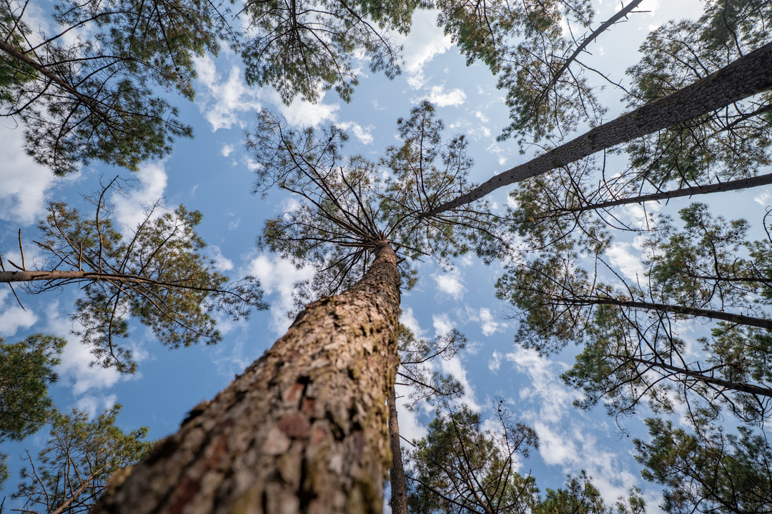 Boucle vélo-train entre Bordeaux, Médoc et Bassin d’Arcachon, Sainte-Hélène - photo 4