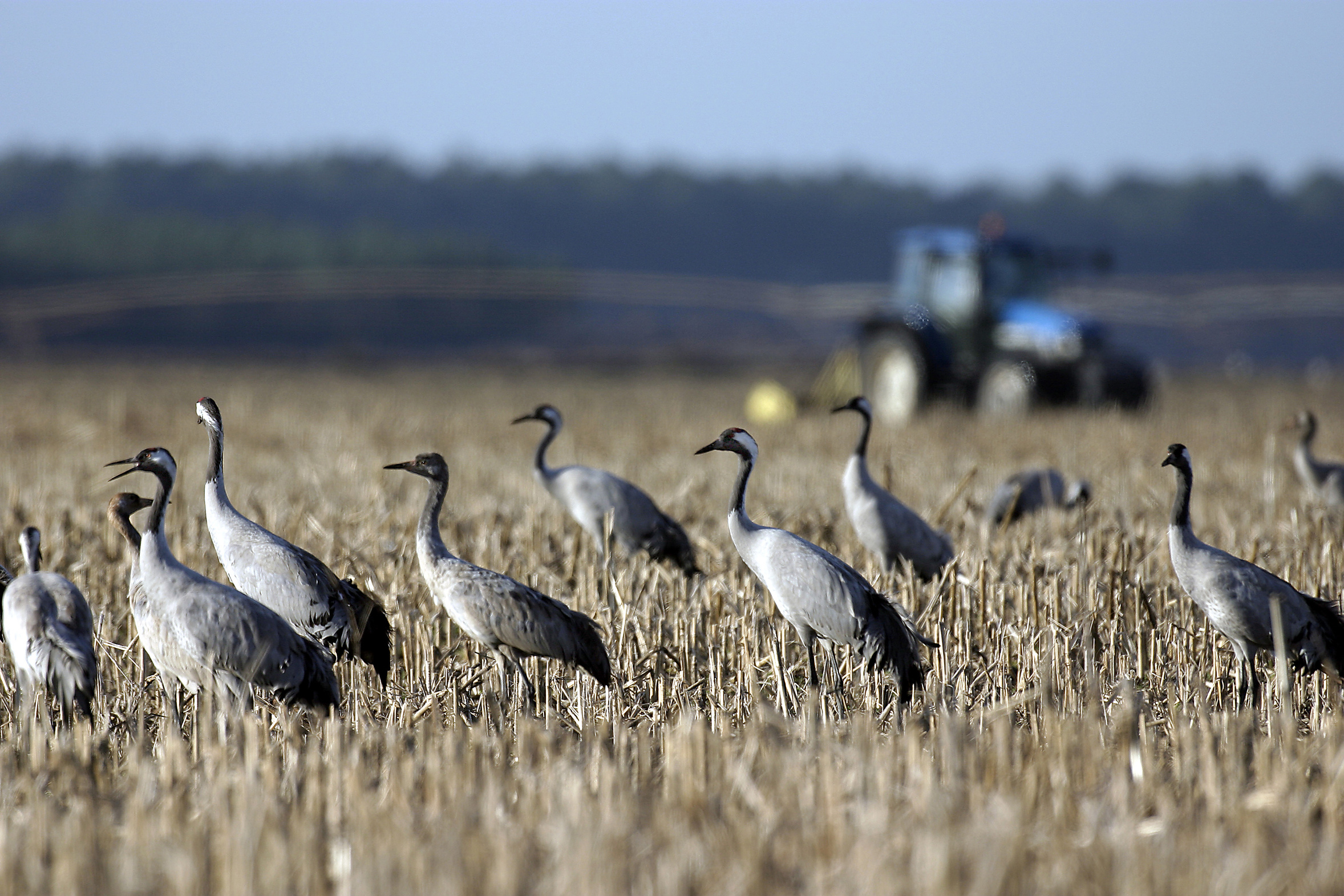 Observatoire de Lencouacq