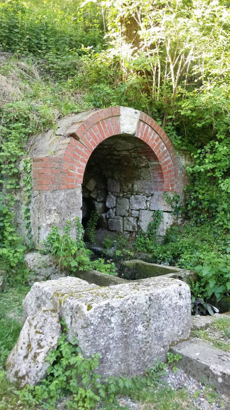 Sauvagnas, la traversée du bois de Courties