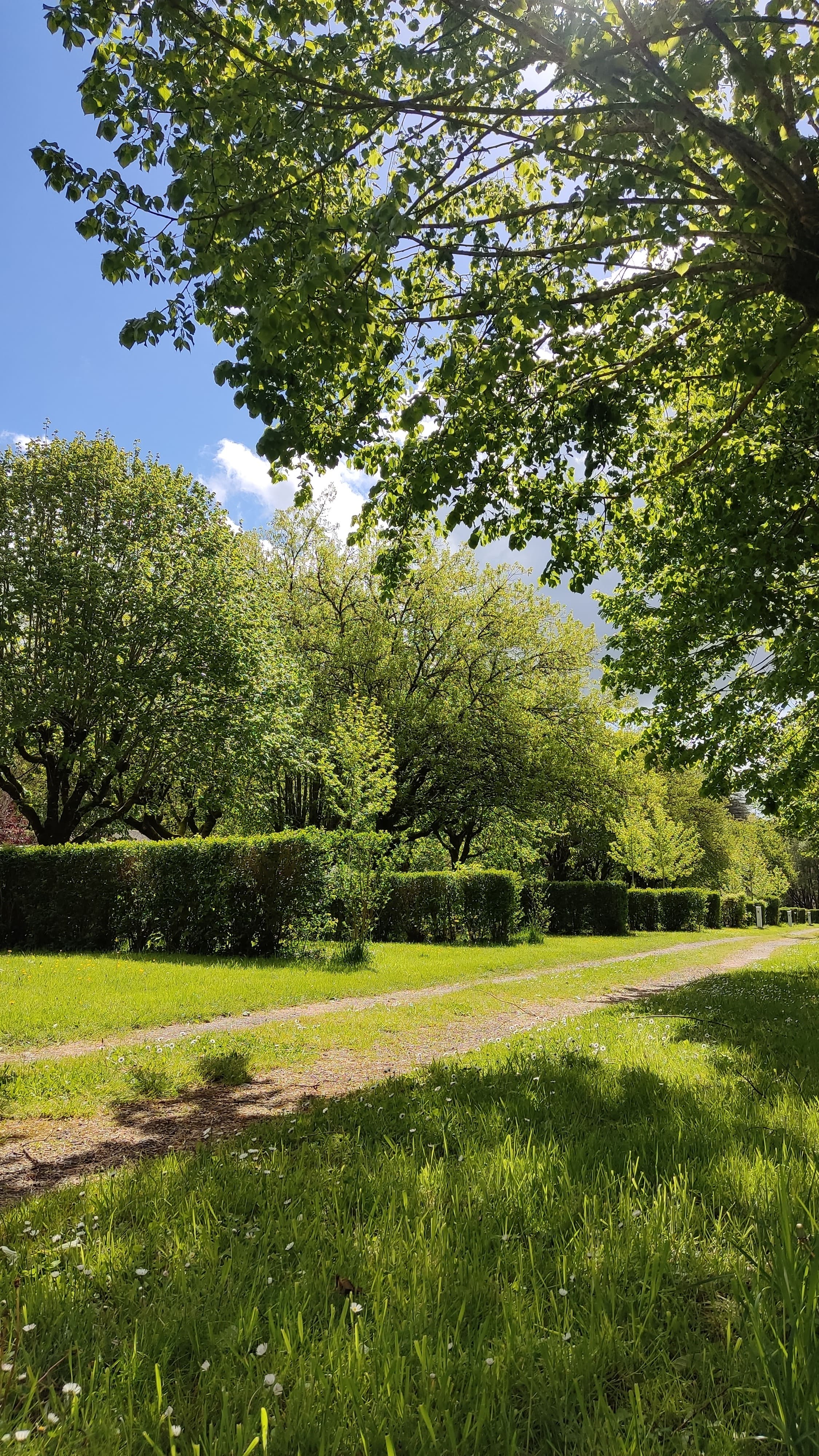 Camping de Beaufort, Saint-Léonard-de-Noblat - photo 6