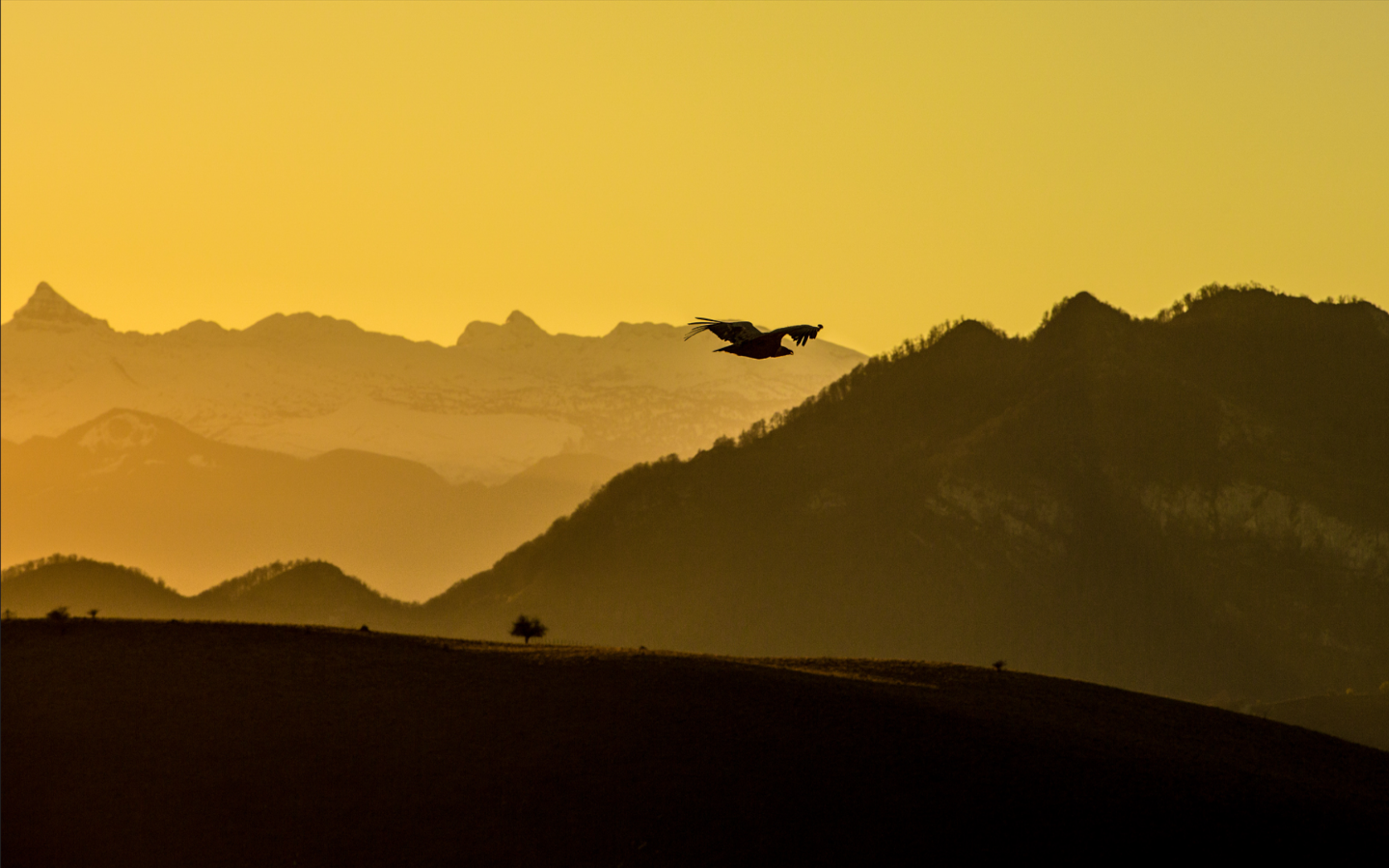 Chapelle Saint-Antoine : panorama