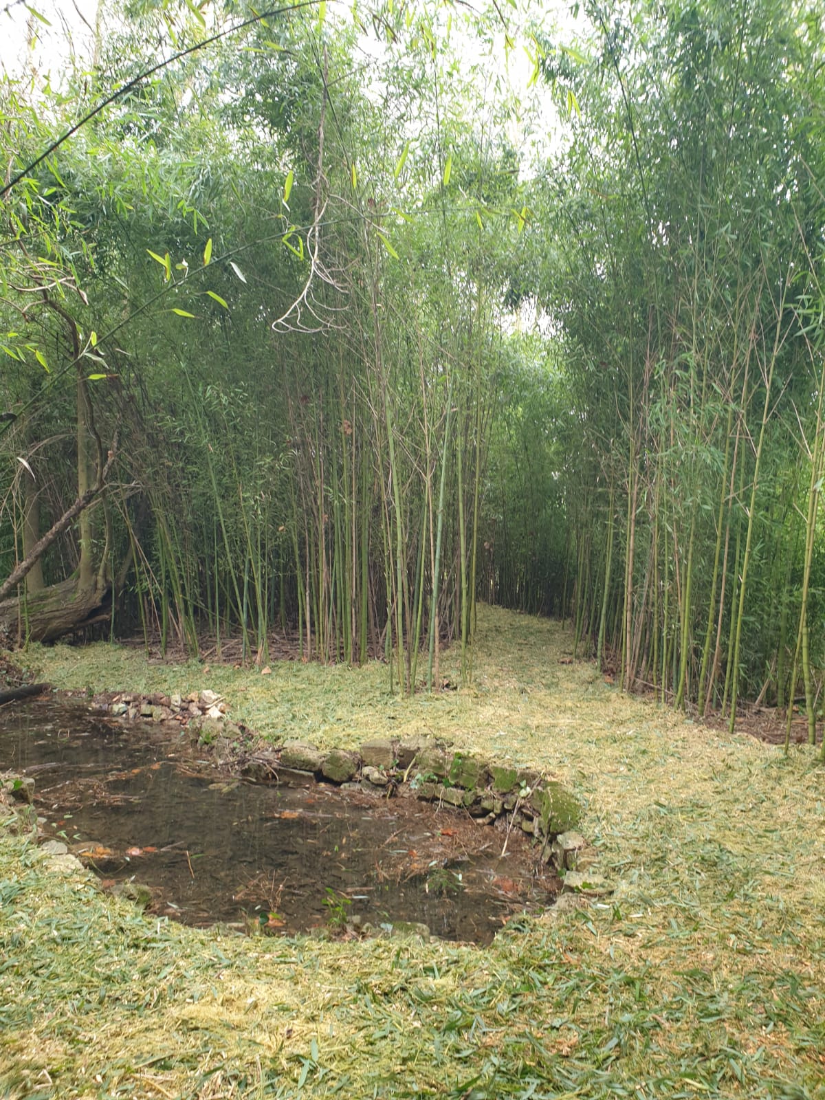Servitude de marchepied Pont de Ménesplet-Vauclaire