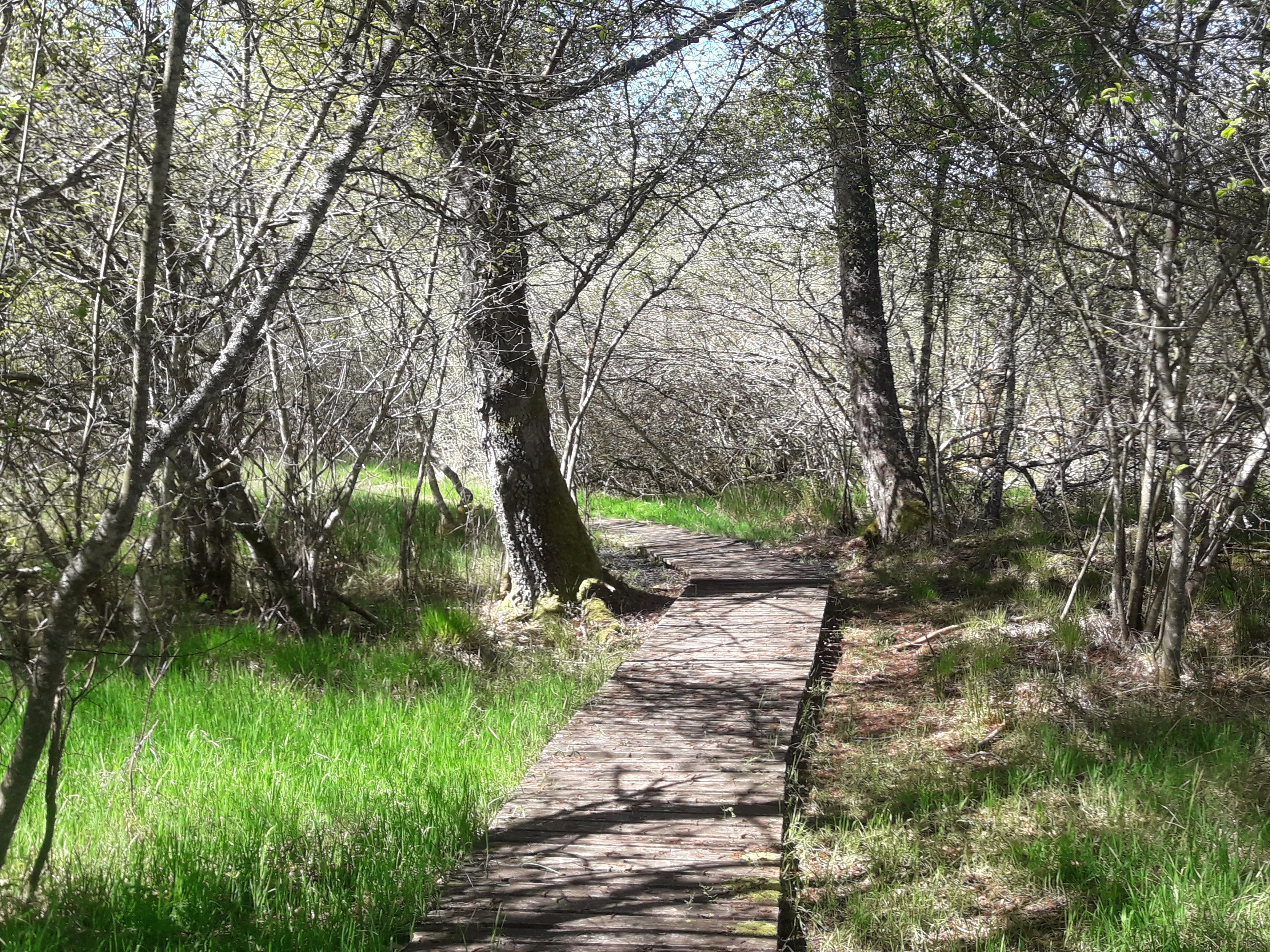 Les Sources de la Creuse - 1 km, Le Mas-d'Artige - photo 2