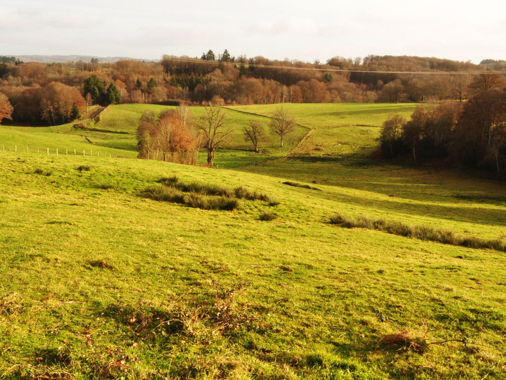Location Creusoé - gîte "Robinson", Saint-Marc-à-Frongier - photo 9
