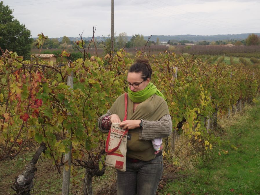 Domaine du Petit Paris