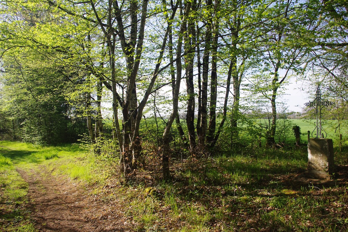 GRP®Monts et Barrages en Limousin - Etape 8 - De Saint-Méard à Saint-Paul