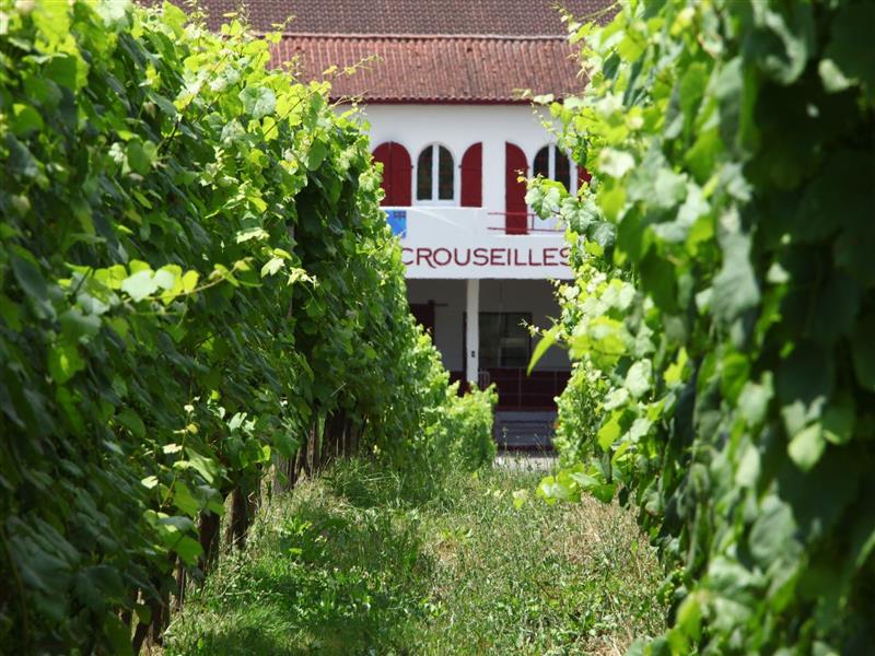 Cave et Château de Crouseilles