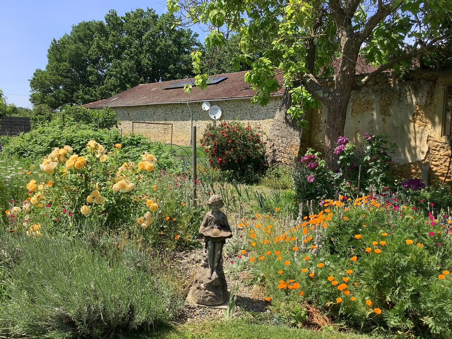 Domaine du Tournesol, Crouseilles - photo 34
