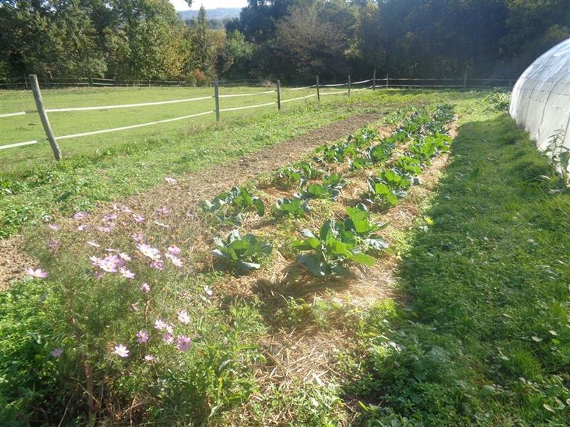 Maraîchage du Bergons