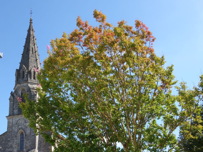 Eglise Saint-Jean de Cudos
