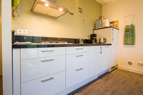 Domaine de L'Ancien Vignoble - L'Olive, Saint-Julien-de-Lampon - photo 10