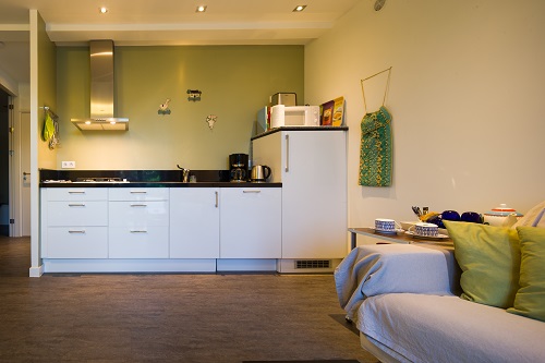 Domaine de L'Ancien Vignoble - L'Olive, Saint-Julien-de-Lampon - photo 18