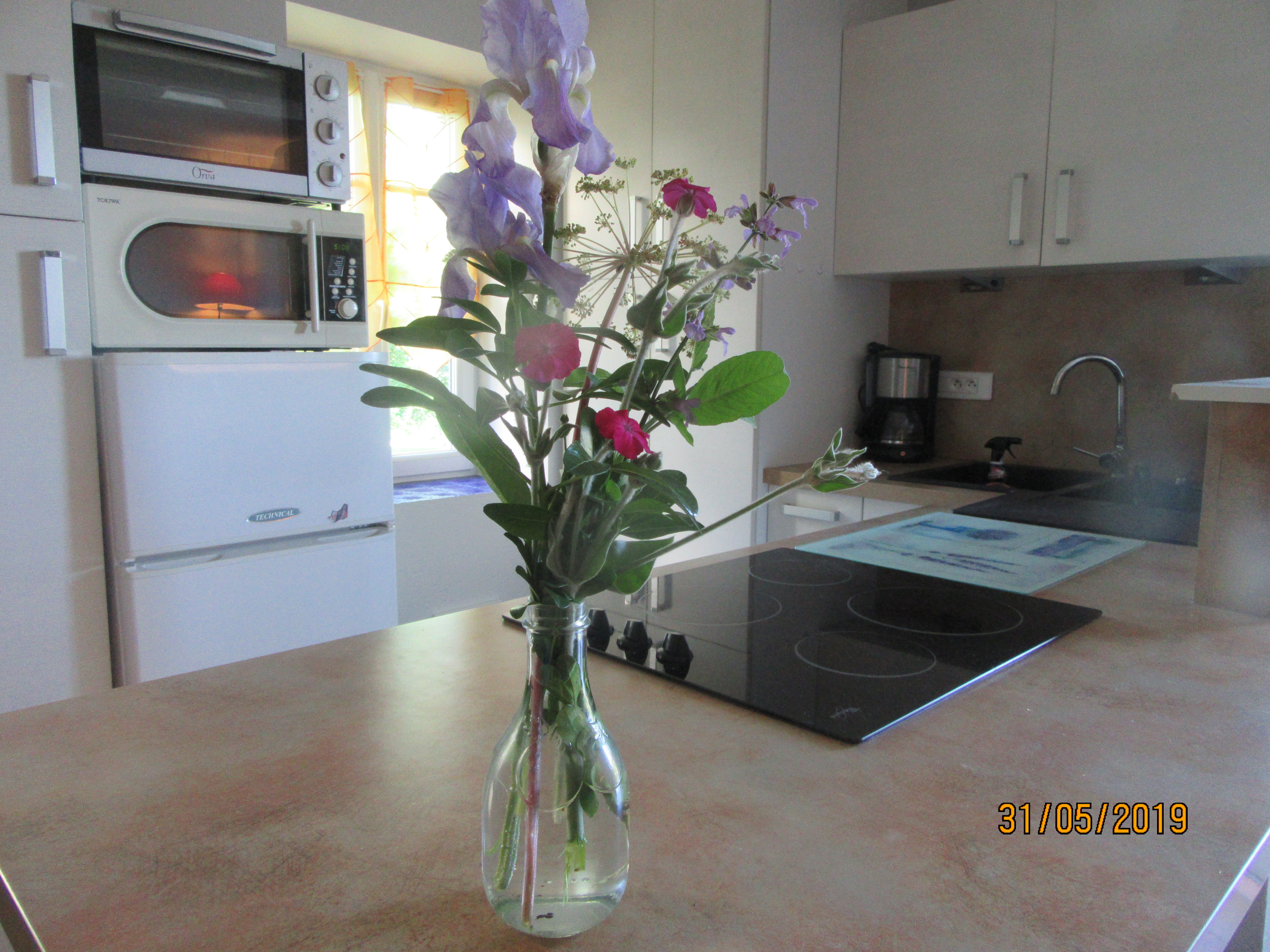 Gite de Tir Na Nog, Secondigny - photo 15