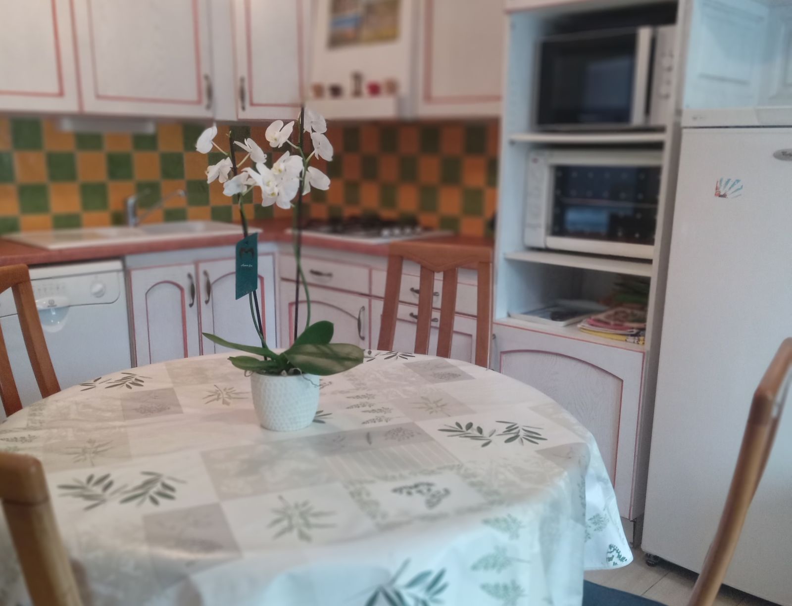 Meublé Carrassoumet, Aramits - photo 5