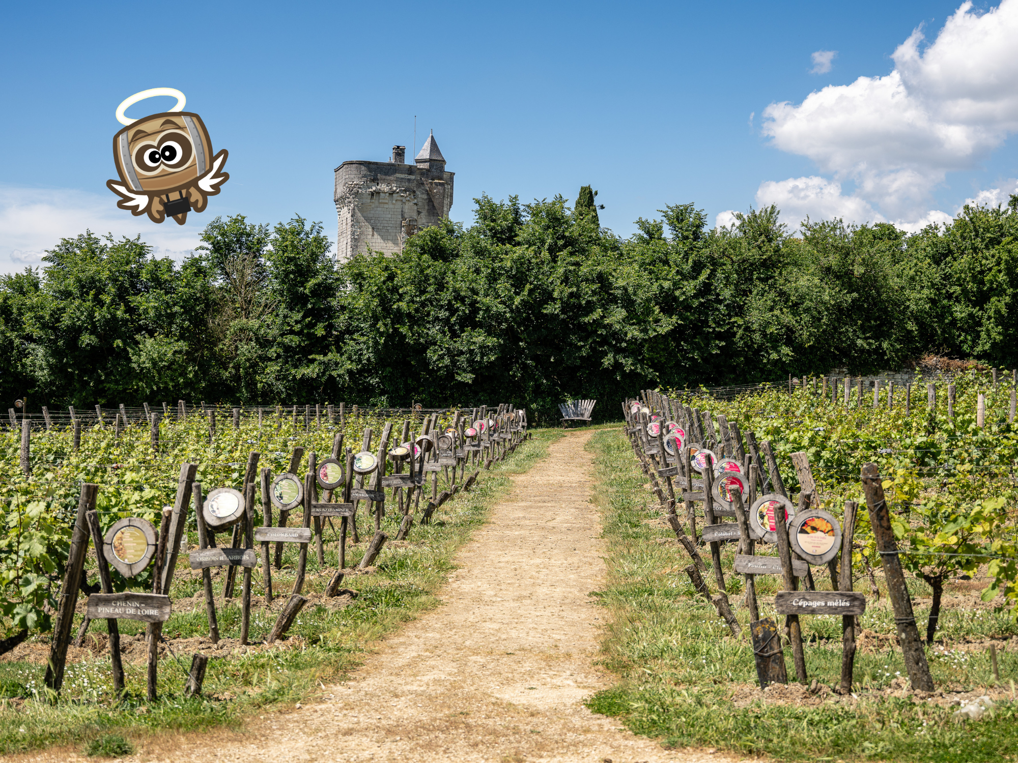 Tèrra Aventura : Les Raisins de la Folie