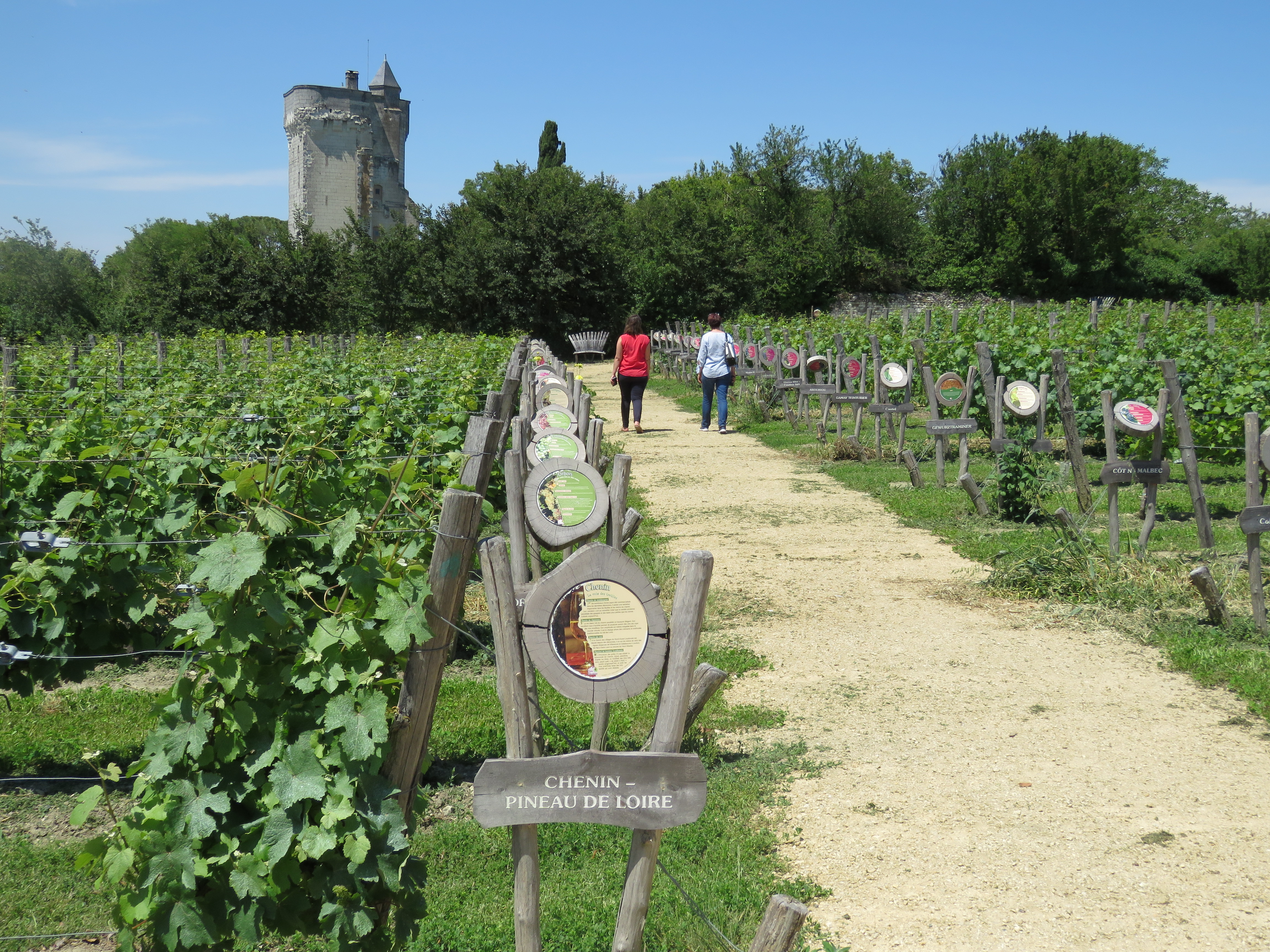 Tèrra Aventura : Les Raisins de la Folie