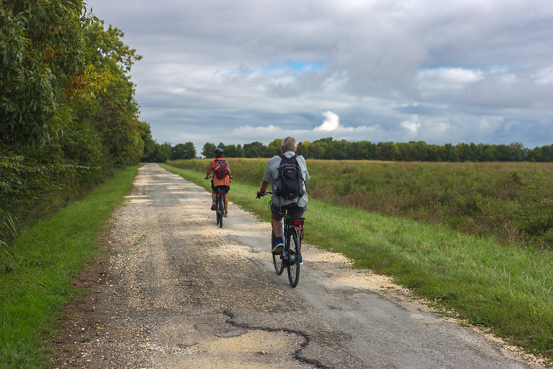 Tour de Gironde à vélo : étape 15 - Blaye / Bordeaux