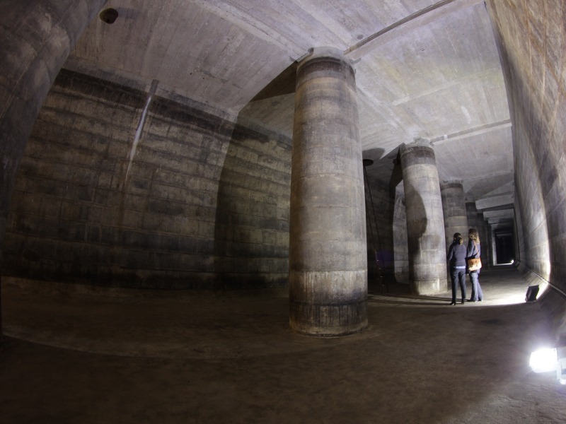 Visite guidée de Bourg et dégustation de la Figue de Bourg, spécialité locale