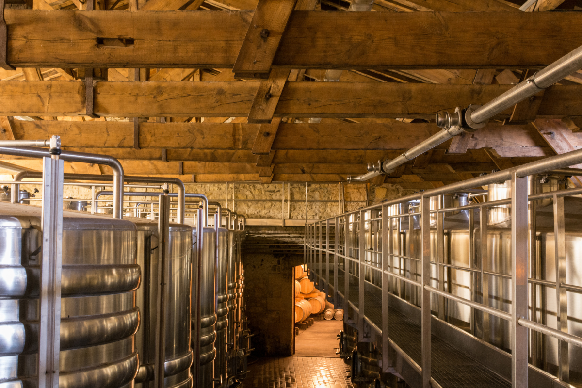 Château Paveil de Luze - photo 3