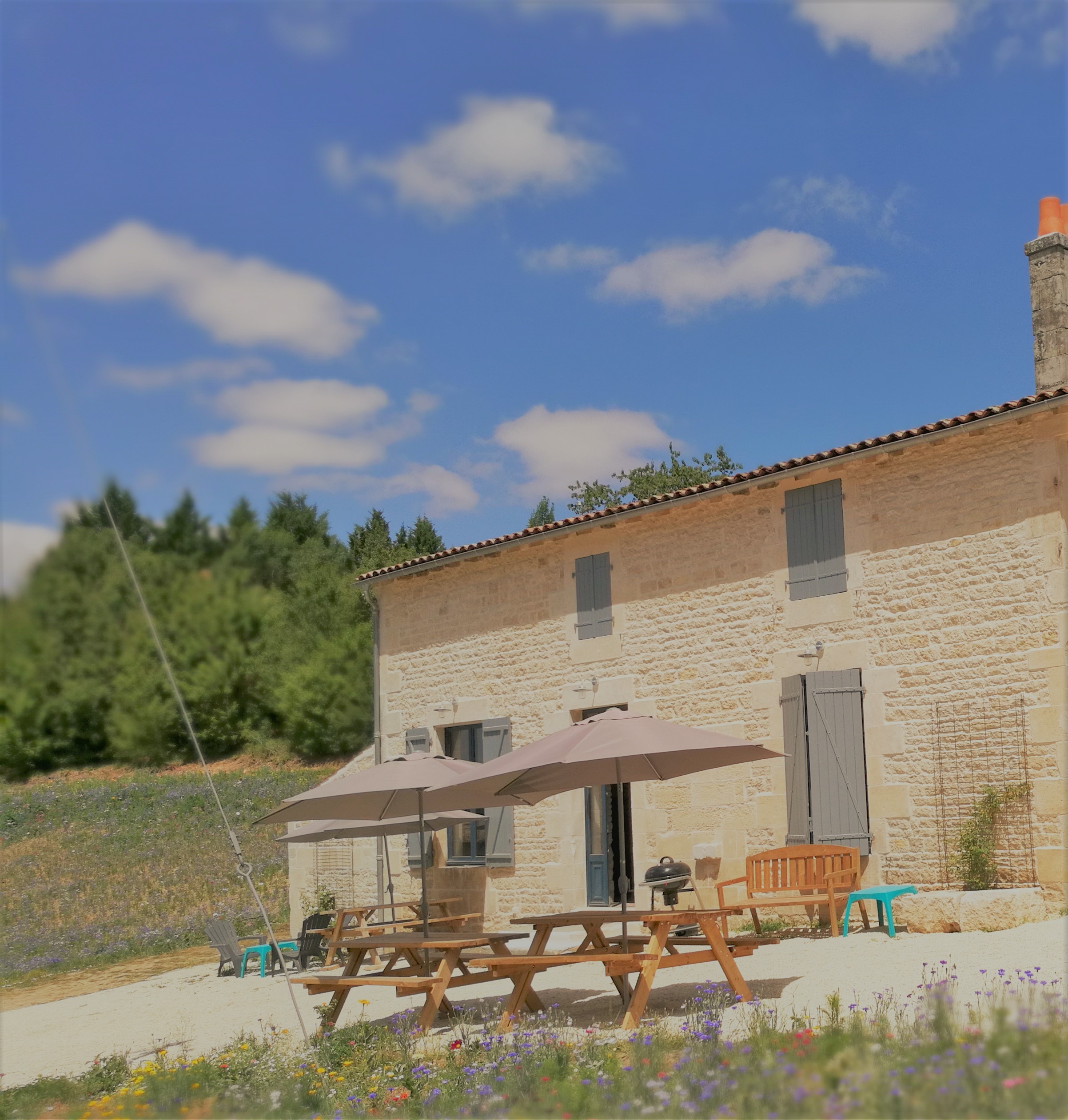 Domaine du Château des Loups - Les Cyprès