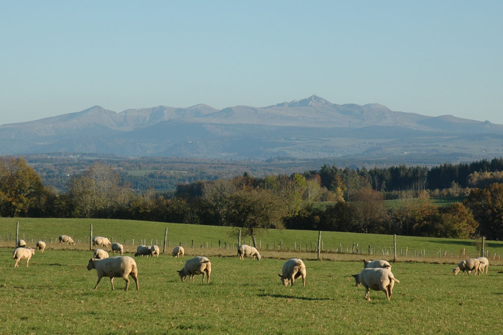 VTT - Gravel - De Feyt à Monestier - 17 km - circuit 62